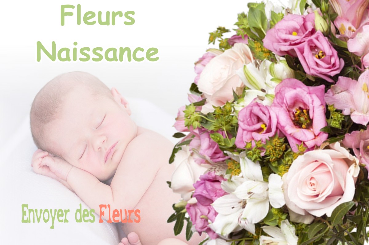 lIVRAISON FLEURS NAISSANCE à BOURDEAU